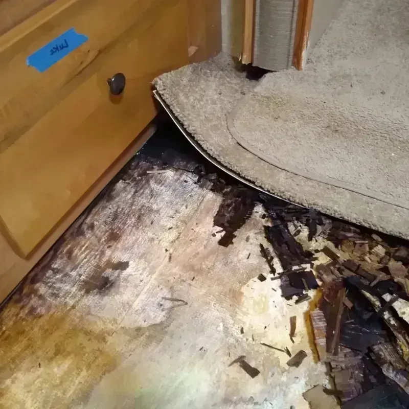 Best Wood Floor Water Damage Service in Fort Myers, FL